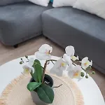 Apartment Nowy Swiat 3 Gliwice