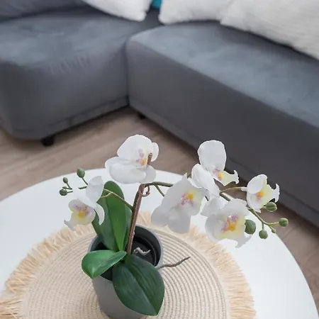 Apartment Nowy Swiat 3 Gliwice