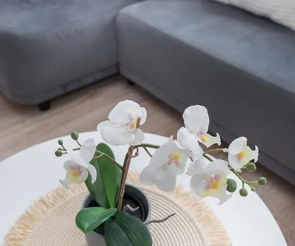 Appartement Nowy Swiat 3 Gliwice